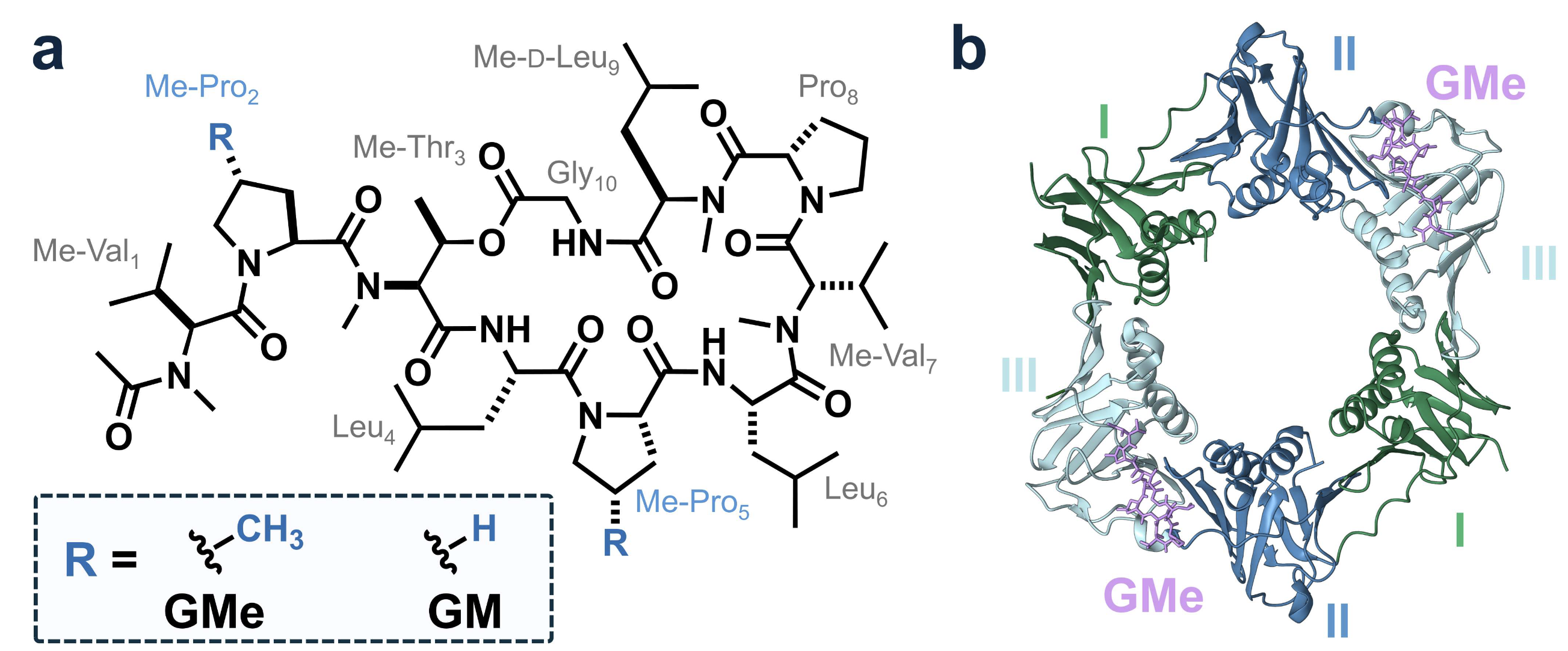 molecular.png